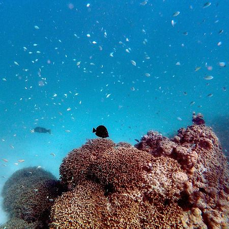 ガンゲヒ アイランド リゾート エクステリア 写真